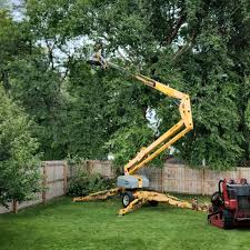 Best Tree Removal  in Annetta, TX