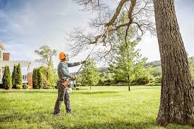 Best Seasonal Cleanup (Spring/Fall)  in Annetta, TX